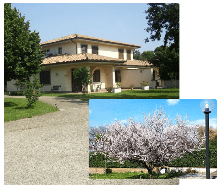 La Palanzana - Beds & Breakfasts Viterbo