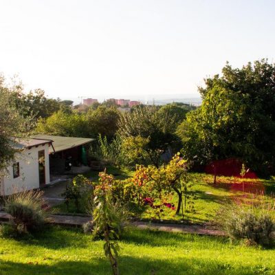 la_palanzana_img_g5.jpg