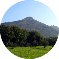 monte_palanzana